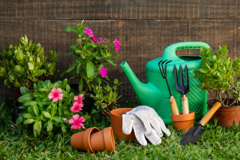 Como montar e cuidar do seu jardim