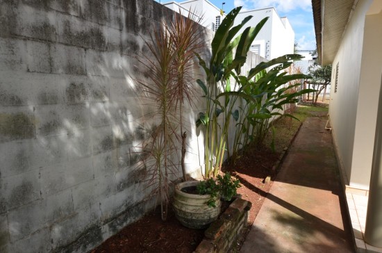 LATERAL DA CASA